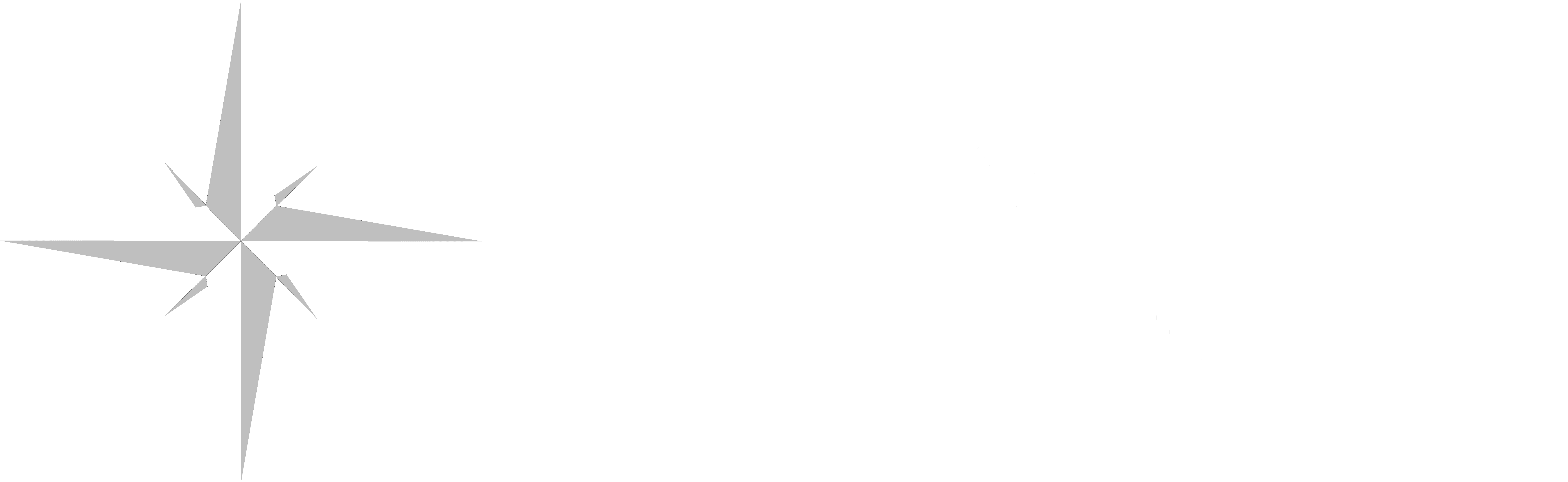 Logo of AAY Investments Group with a compass design.