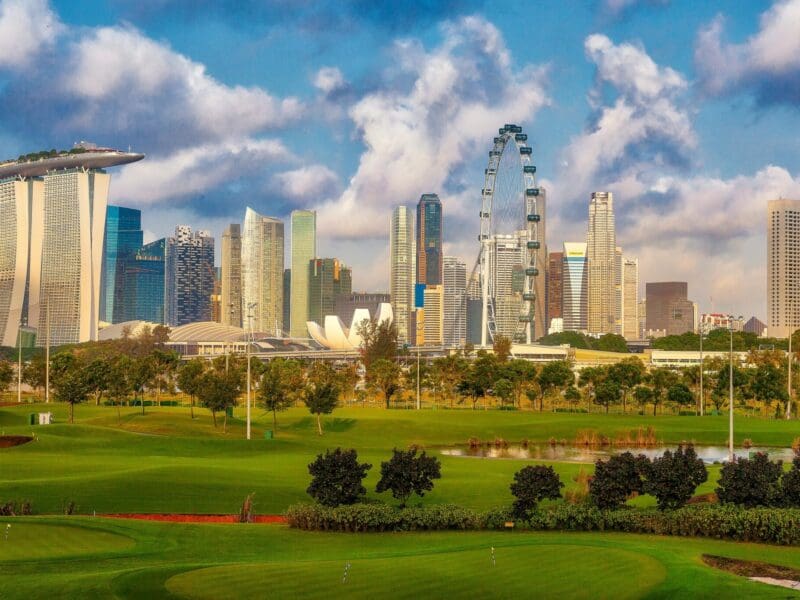 Skyline of a modern city with a Ferris wheel and lush green park.